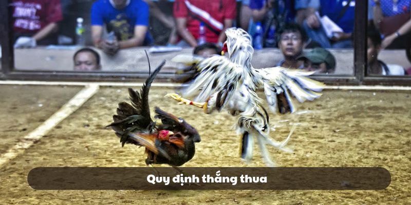 Những trường hợp xác định kết quả thắng thua của trận đấu Những trường hợp xác định kết quả thắng thua của trận đấu